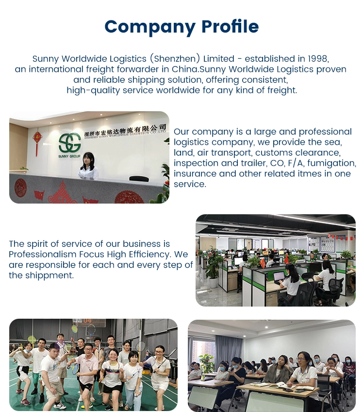 sunny worldwide logistics